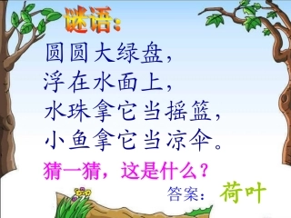 一年级上册《荷叶圆圆》
