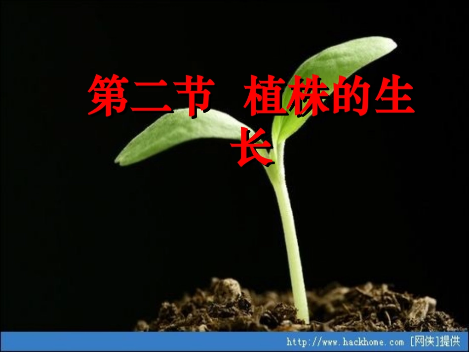 七年级生物上册-植株的生长课件_第1页