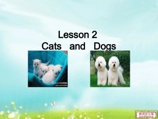 冀教版三下Lesson2CatsandDogs