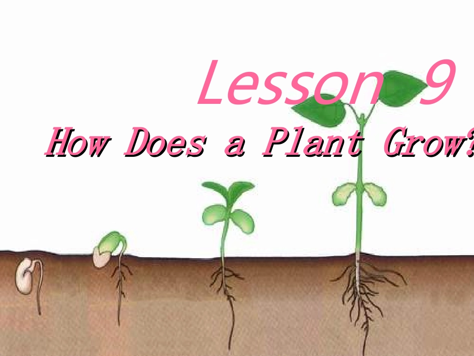 八下lesson9_第2页
