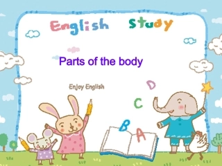 英语口语课身体部位（胡宇明）