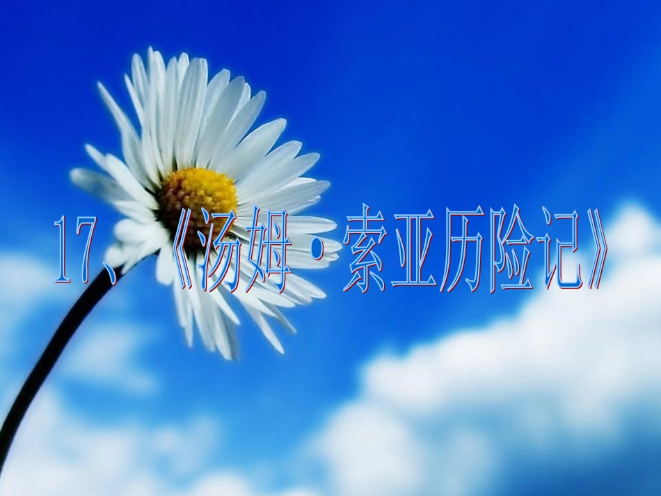 《汤姆·索亚历险记》1_第1页