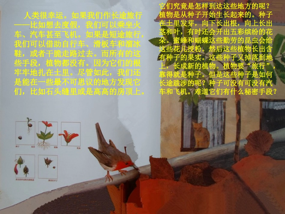 小班语言：《一粒种子的旅行》PPT_第2页