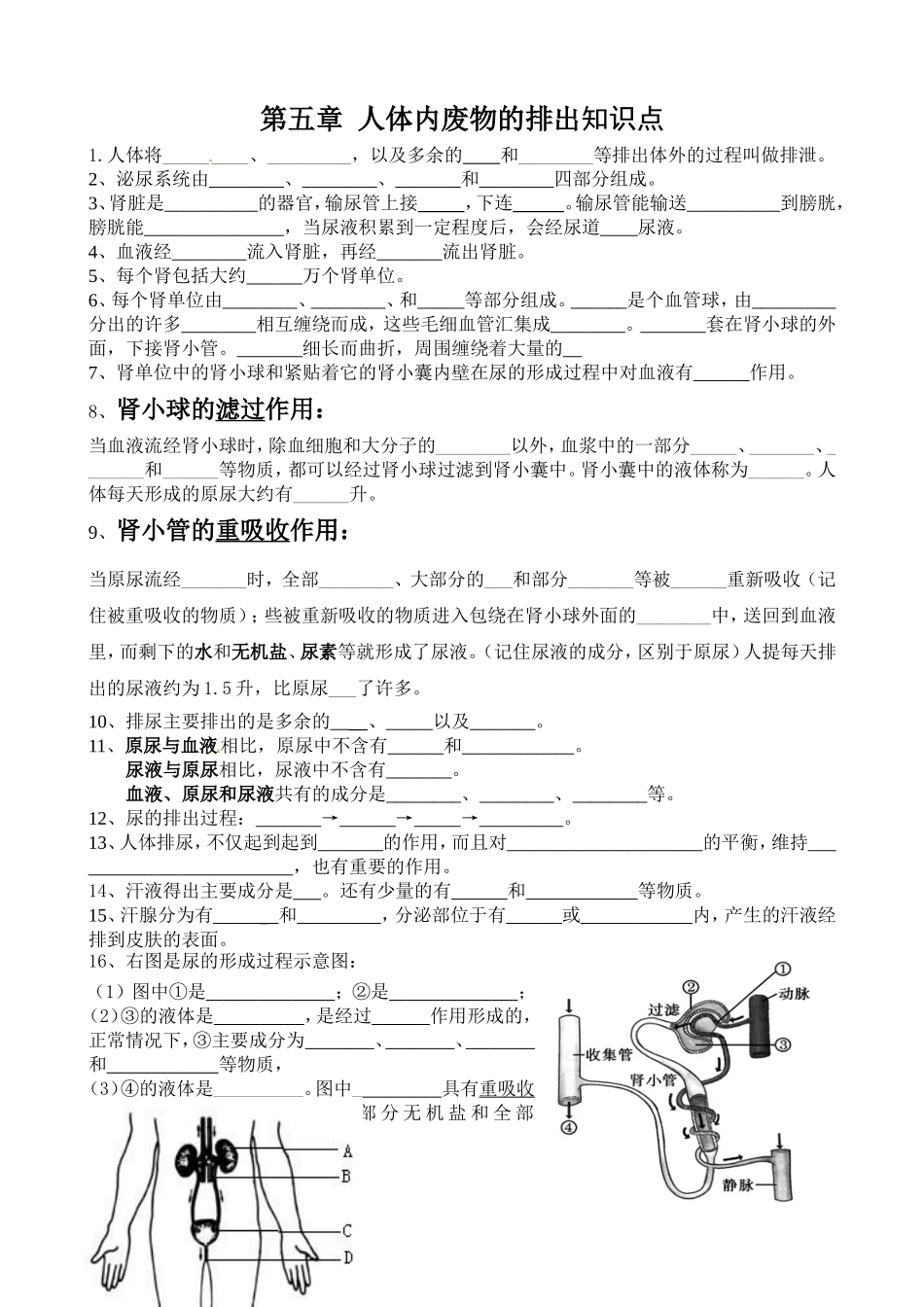 第五章人体内废物的排出知识点_第1页