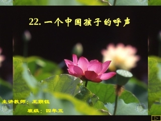 小语四年级下册第15课《一个中国孩子的呼声》教学课件-2