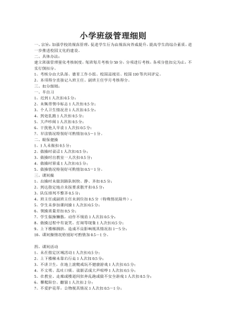 小学班级管理细则
