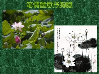 八-3笔情墨意抒胸臆