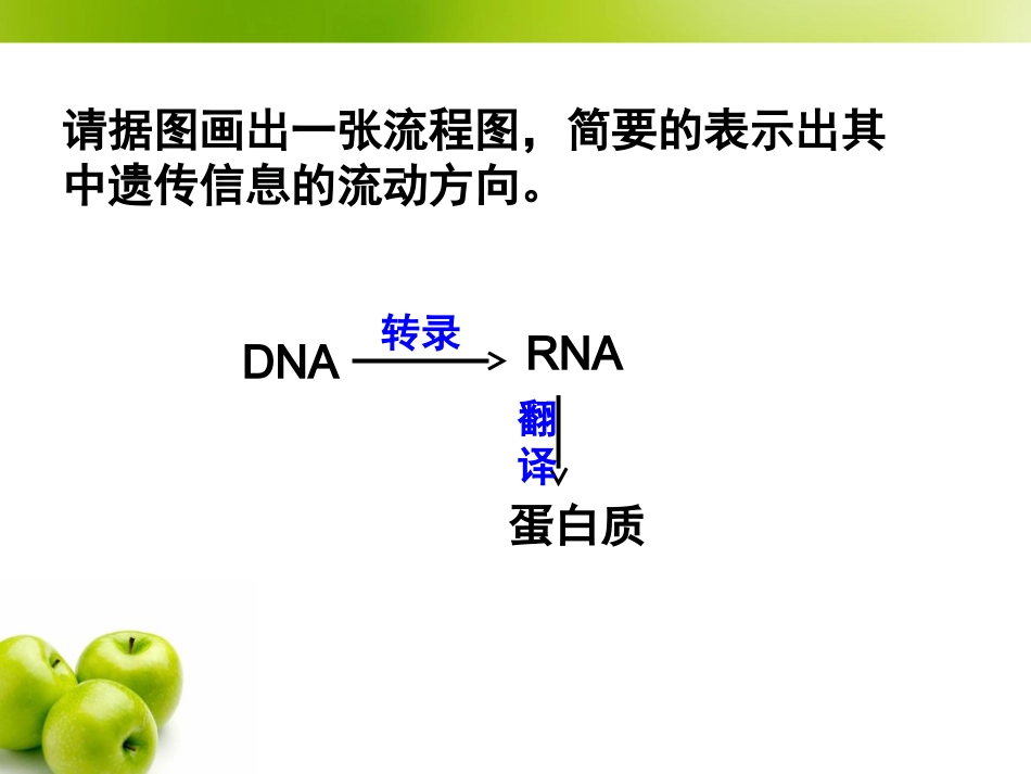 基因对性状的控制_第2页