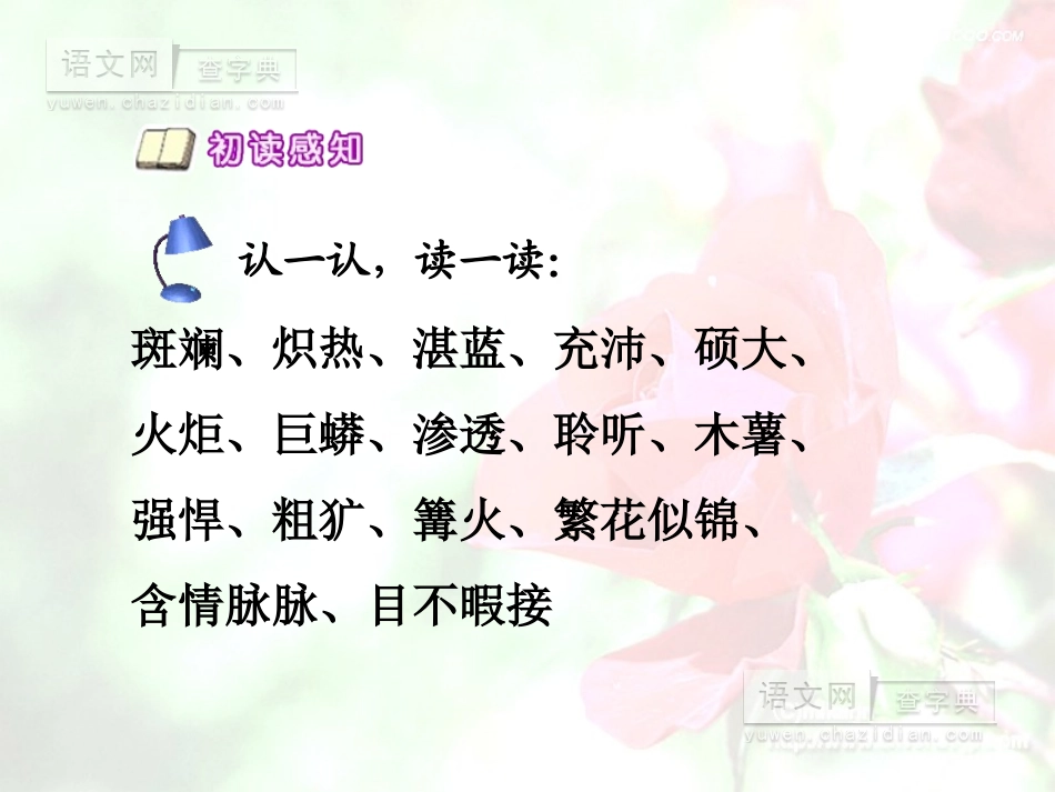 彩色的非洲 (3)_第3页