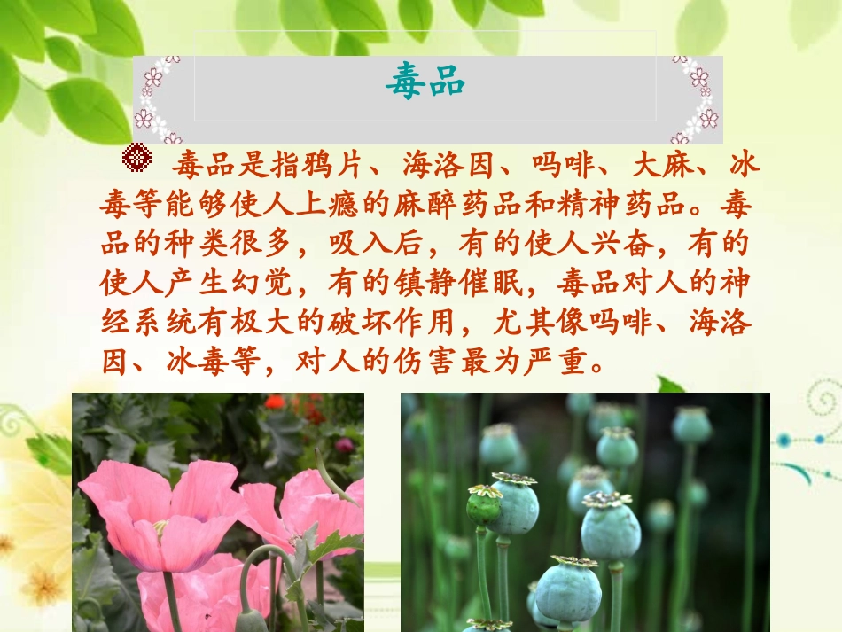 《学会拒绝》课件3_第3页