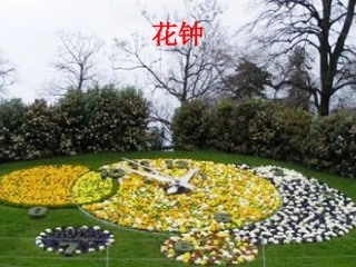 《花钟》PPT课件 (4)