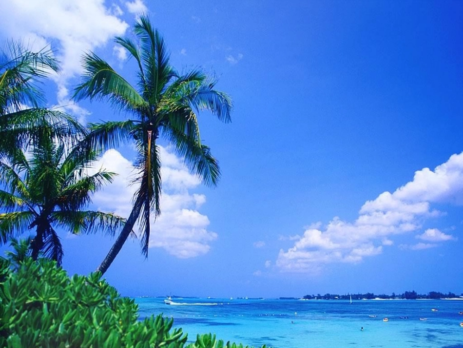 《爱护水资源》课件1_第3页