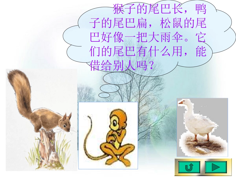 人教新课标版小学一下《小壁虎借尾巴》课件2_第2页