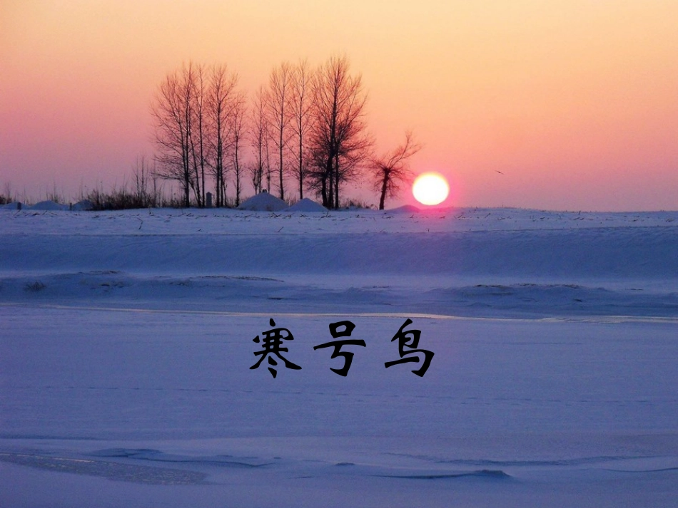 《寒号鸟》课件1_第1页