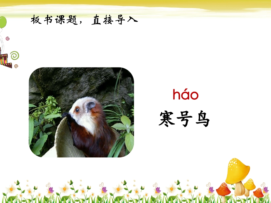 《寒号鸟》课件1_第3页