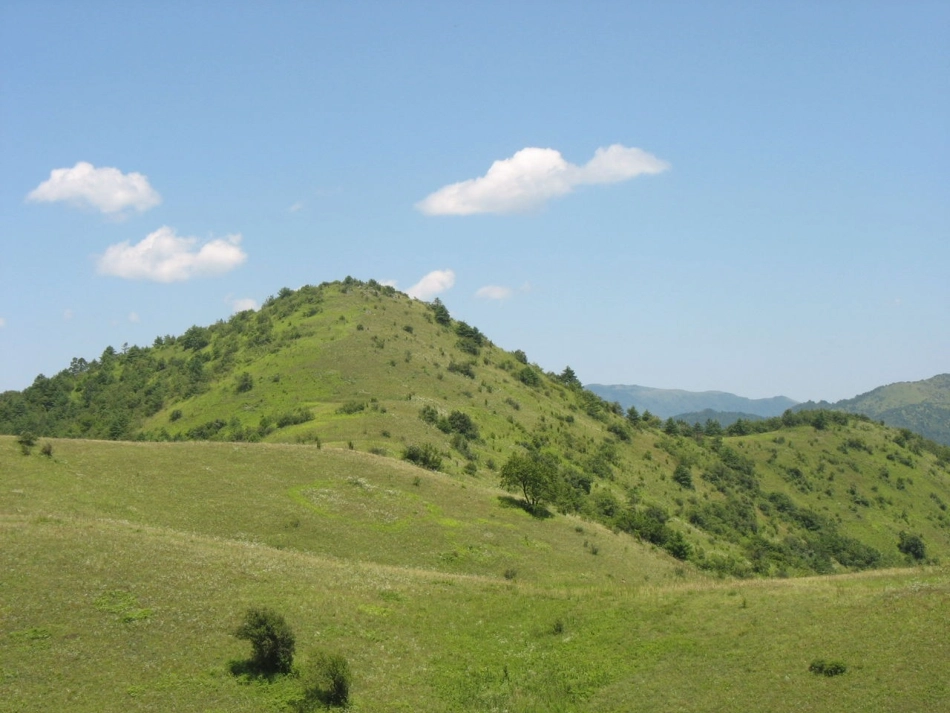 《山爷爷和孩子的对话》课件2 (2)_第2页