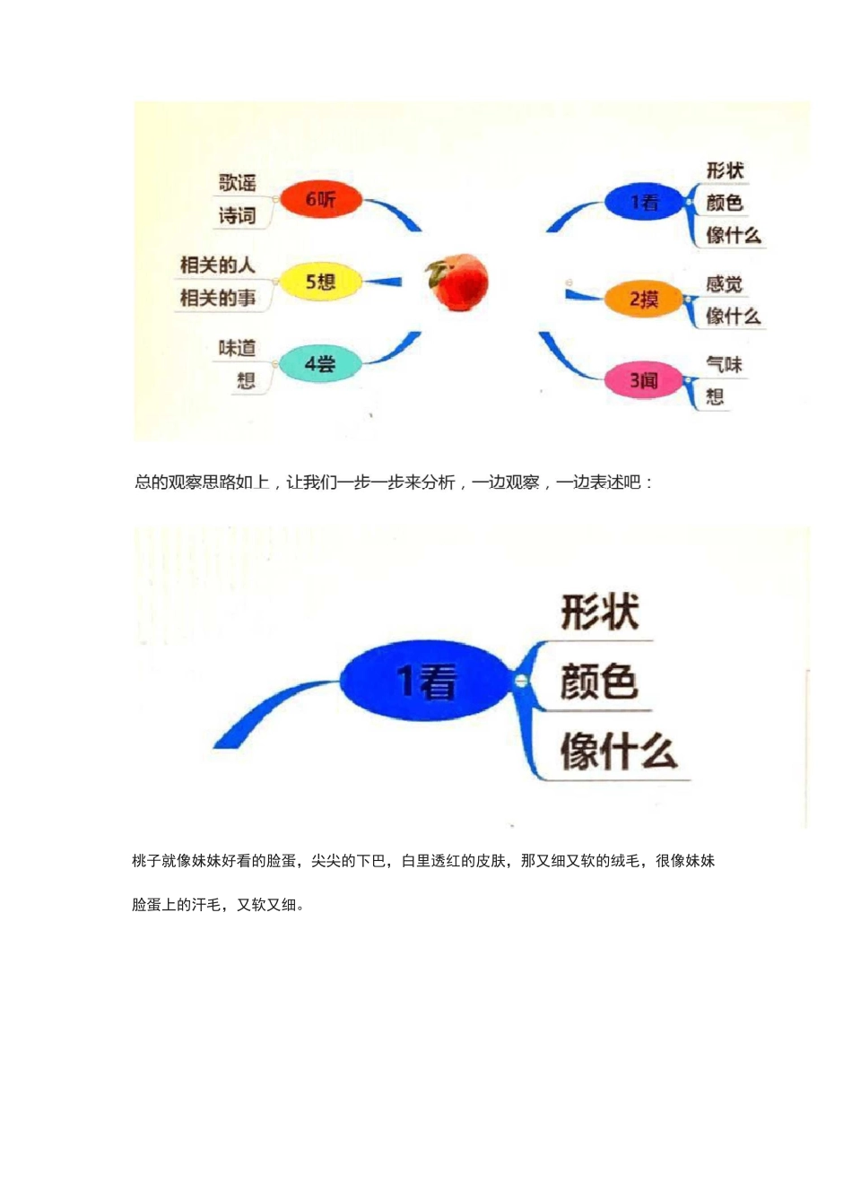 三年级作文写桃子-思维导图-写水果_第2页