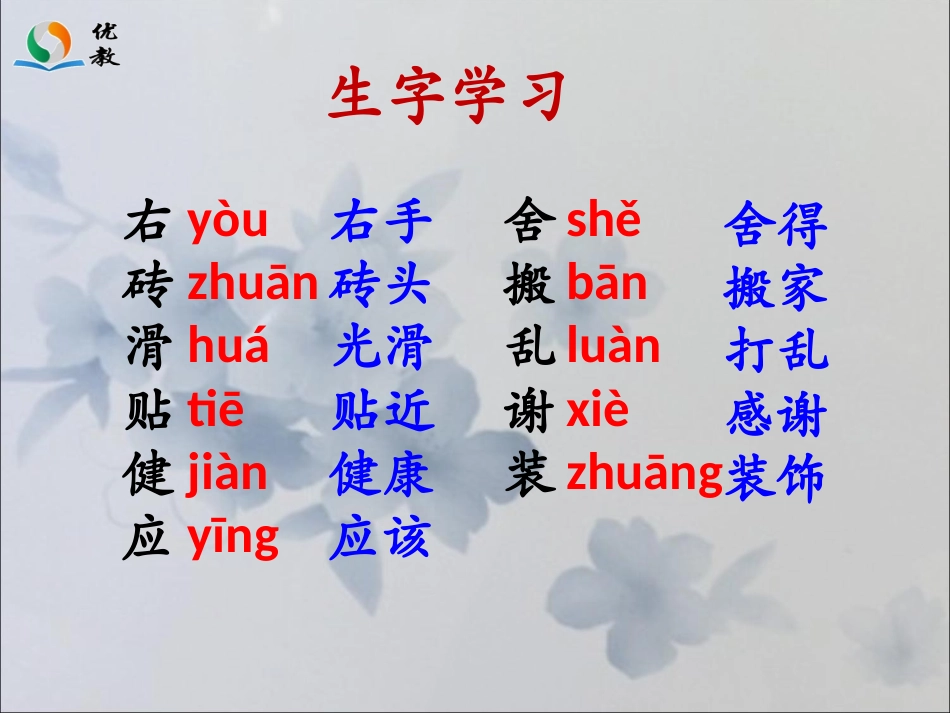 《女主人与乞丐》参考课件_第3页