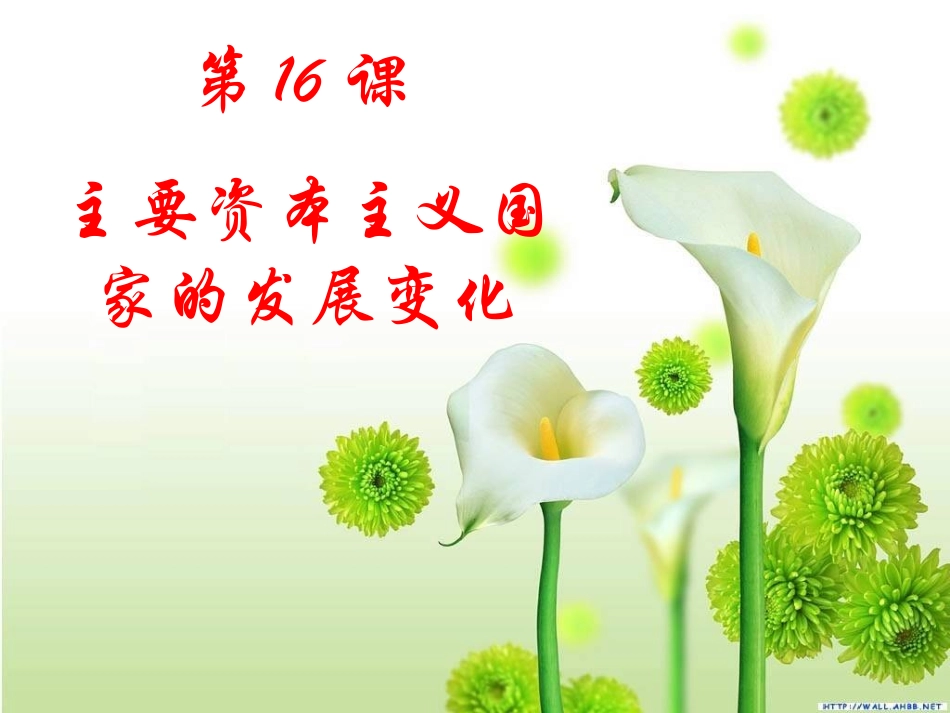 《主要资本主义国家发展变化》课件2_第3页