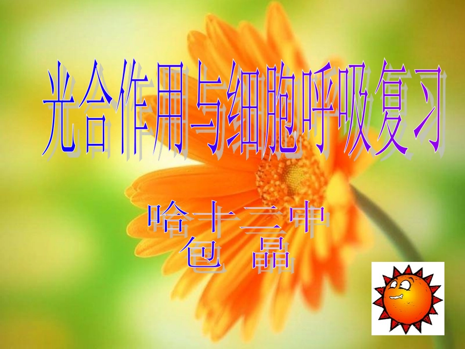 光合与呼吸讲座_第1页