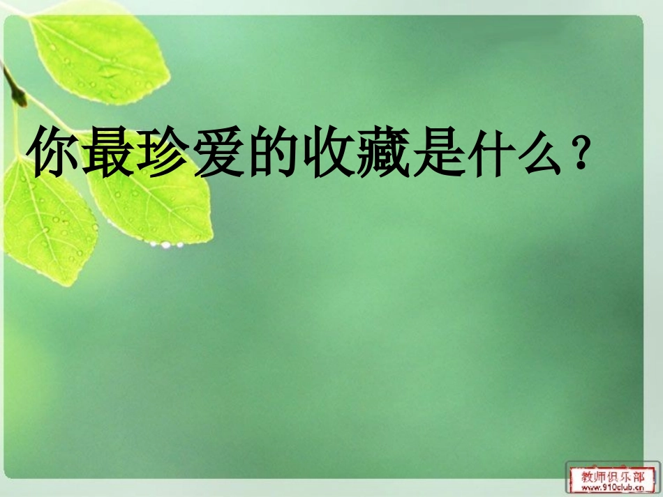 鄂教版六上习作《我的收藏》_第2页