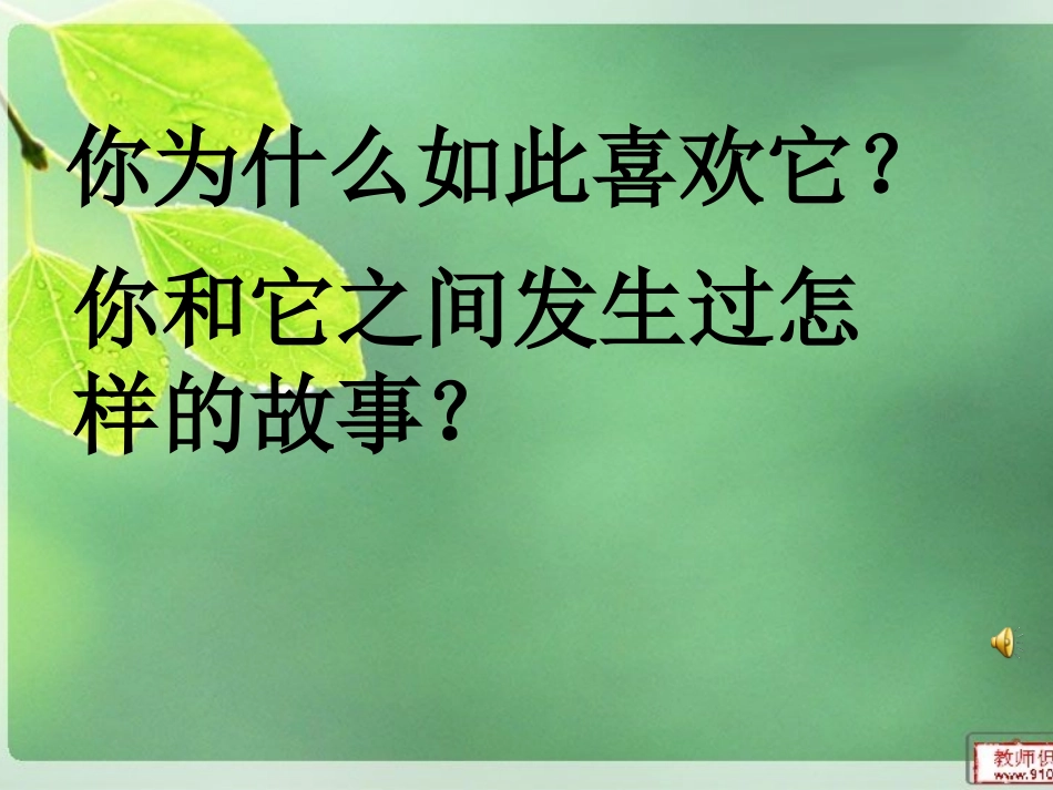 鄂教版六上习作《我的收藏》_第3页