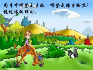 生物的基本特征