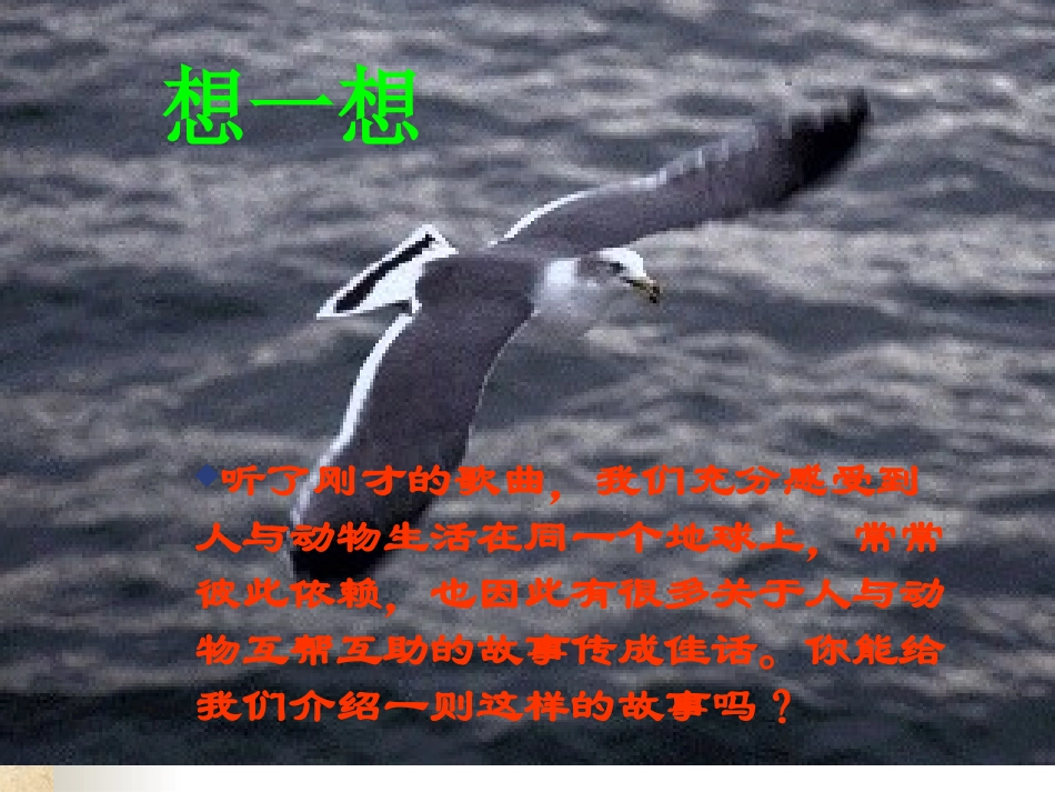 （苏教版）八年级上《都市精灵》,_第3页