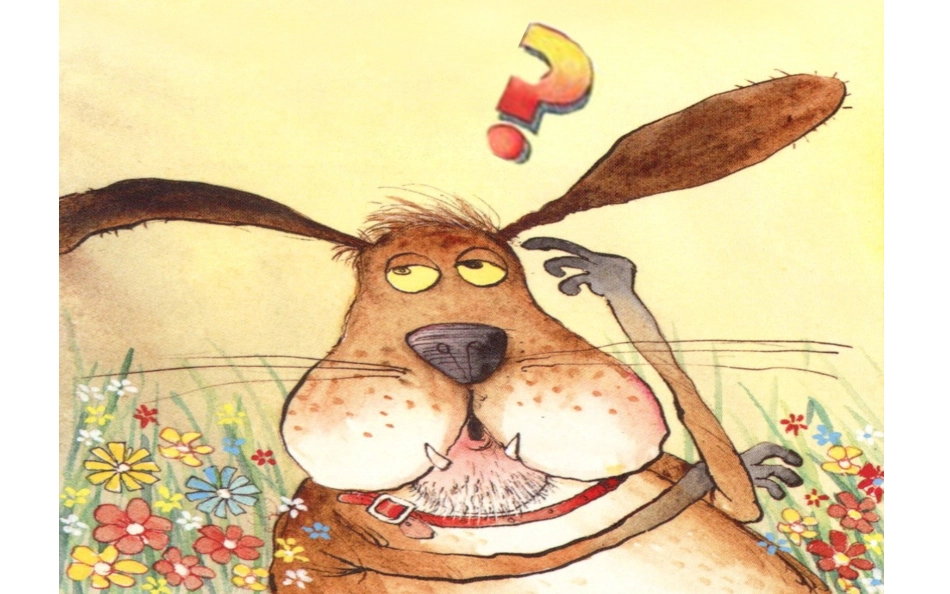 《小贝挖宝》课件_第2页