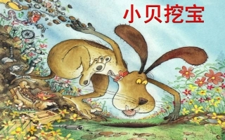 《小贝挖宝》课件