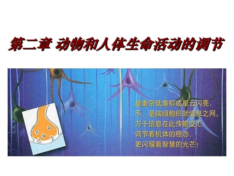 免疫调节第一课时_第1页