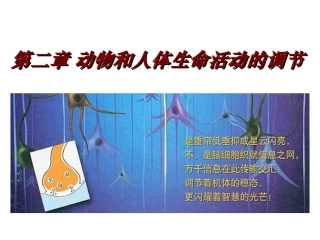免疫调节第一课时