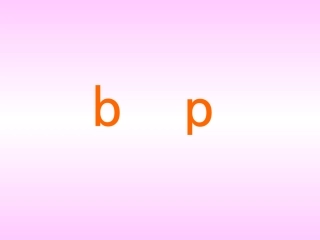 《b_p》教学课件