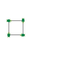 小海龟画正方形王奕峰