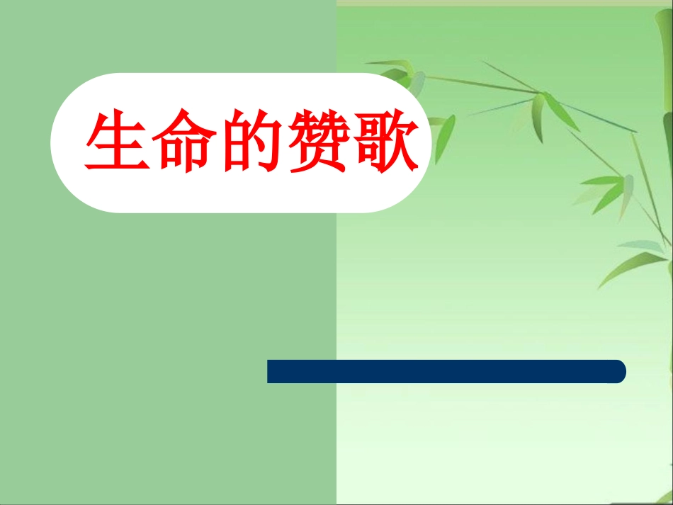 《生命的壮歌》课件1_第1页