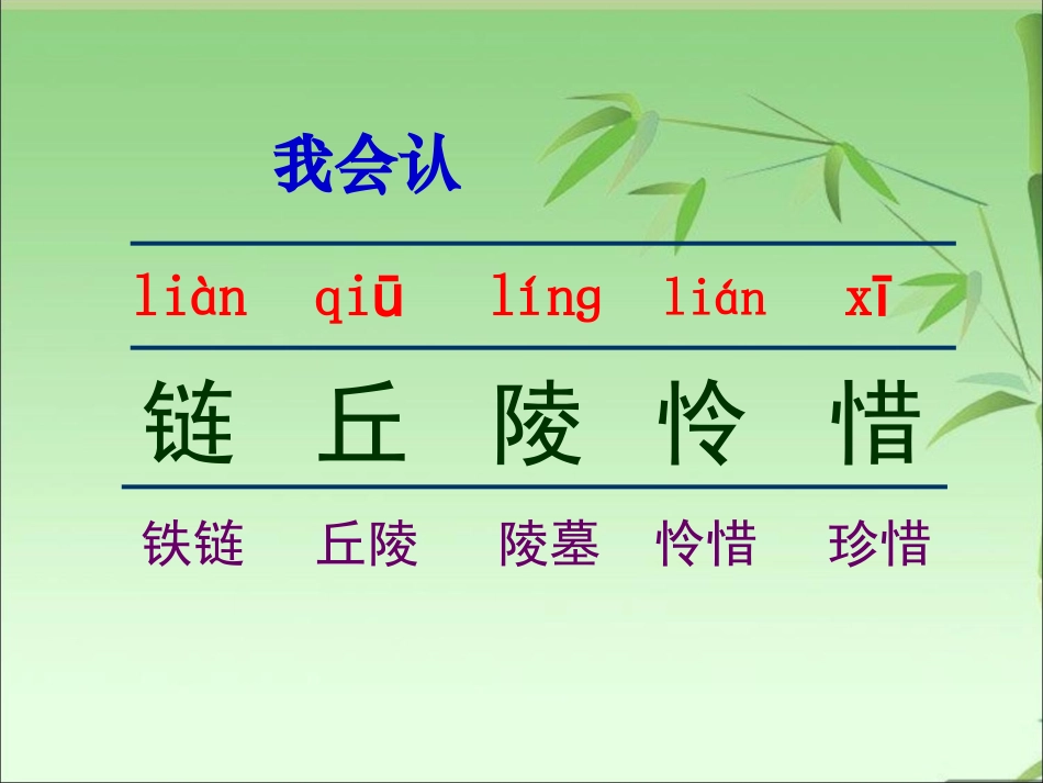 《生命的壮歌》课件1_第3页