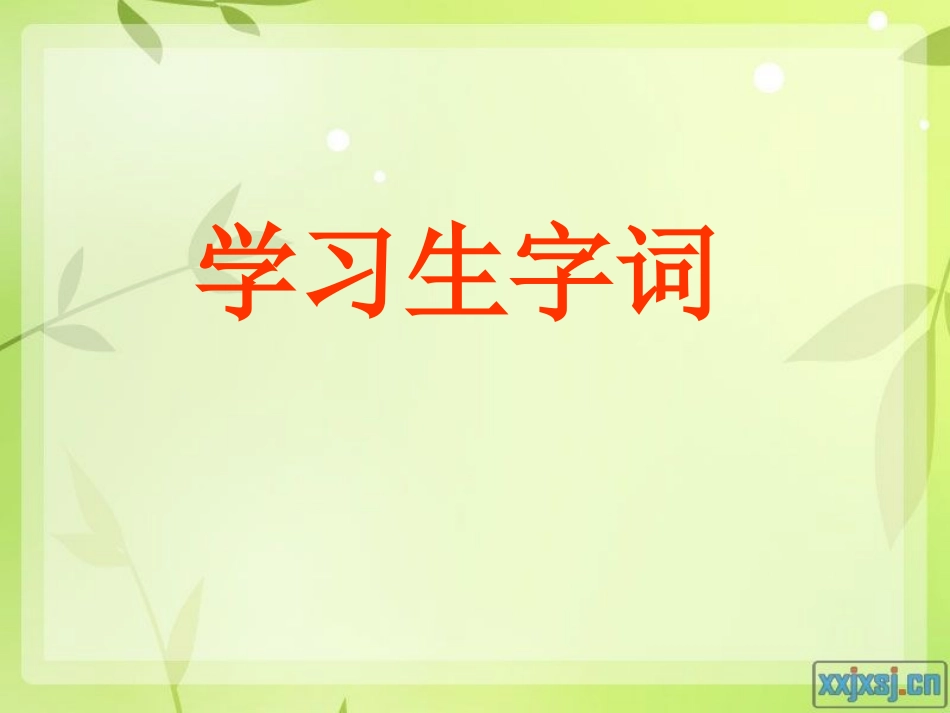 《爱如茉莉》课件_第3页