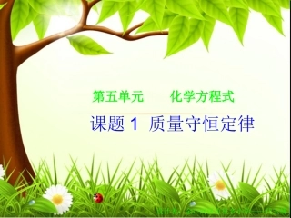 质量守恒定律-金口河代玉娇
