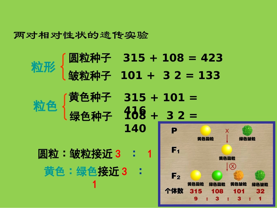 孟德尔豌豆杂交实验二自由组合定律_第2页