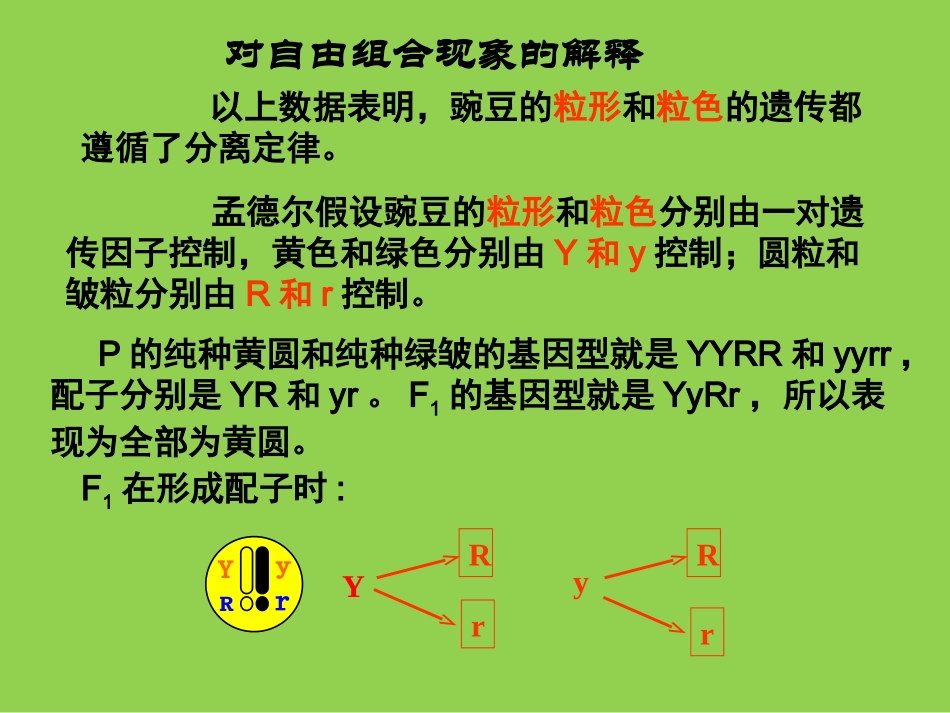 孟德尔豌豆杂交实验二自由组合定律_第3页