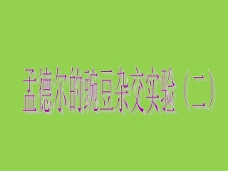 孟德尔豌豆杂交实验二自由组合定律