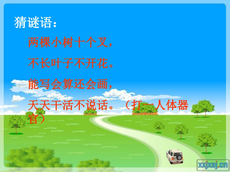 《植树问题1》公开课-马海萍_第2页
