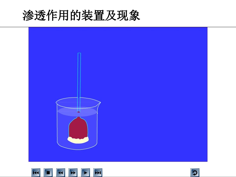 物质跨膜运输实例_第3页