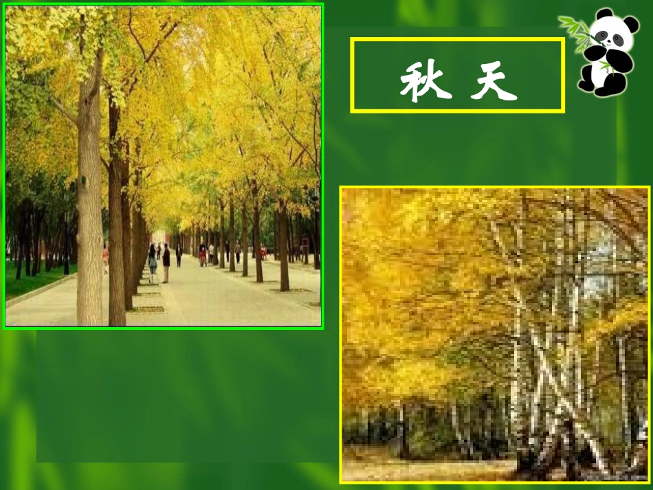 《云南冬天的树林》课件_第2页
