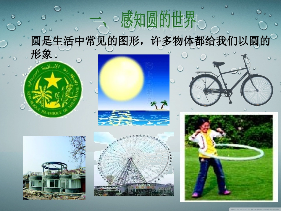 2411圆 (2)_第2页