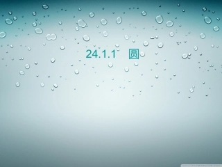 2411圆 (2)