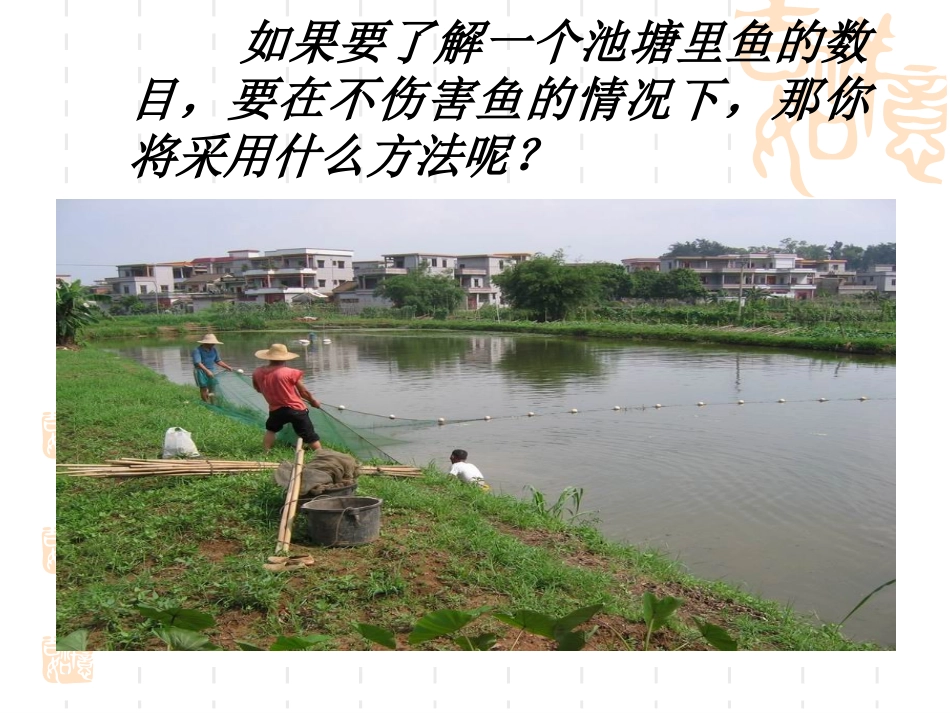 普查和抽样调查_第2页