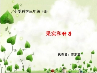 种子的结构课件