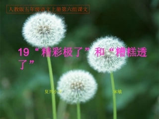 《“精彩极了”和“糟糕透了”》课件（13页）