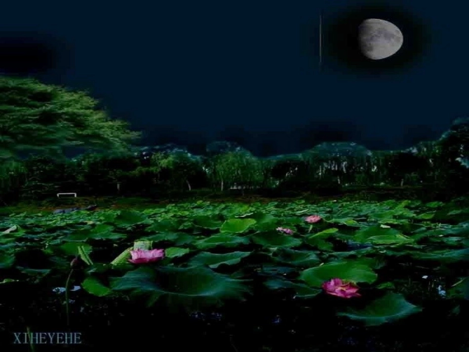 荷塘月色片段教学_第2页